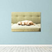 Kutest Baby Animals | Golden Retriever Puppy 2 Canvas Afdruk (Insitu (Houten vloer))