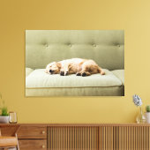 Kutest Baby Animals | Golden Retriever Puppy 2 Canvas Afdruk (Insitu (Woonkamer))