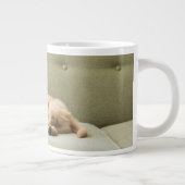 Kutest Baby Animals | Golden Retriever Puppy 2 Grote Koffiekop (Rechts)