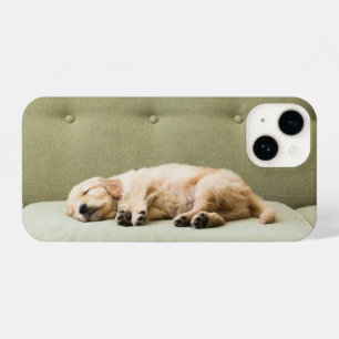 Kutest Baby Animals Golden Retriever Puppy 2 iPhone 14 Hoesje
