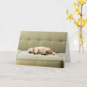 Kutest Baby Animals | Golden Retriever Puppy 2 Kaart (Gele Bloem)