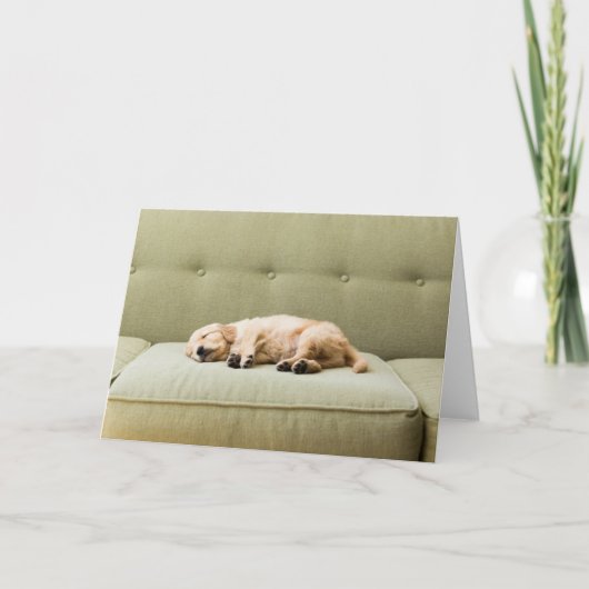 Kutest Baby Animals | Golden Retriever Puppy 2 Kaart (Voorkant)