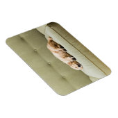 Kutest Baby Animals | Golden Retriever Puppy 2 Magneet (Rechterzijde)