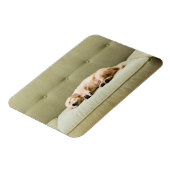 Kutest Baby Animals | Golden Retriever Puppy 2 Magneet (Linkerzijde)