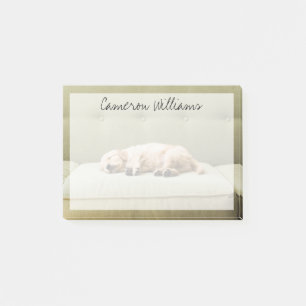 Kutest Baby Animals   Golden Retriever Puppy 2 Post-it® Notes