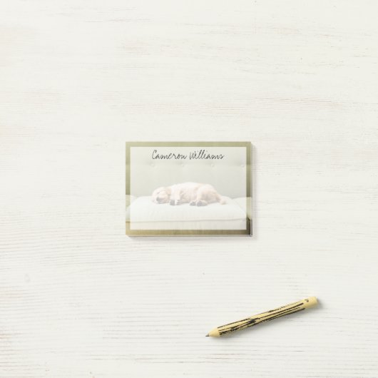 Kutest Baby Animals | Golden Retriever Puppy 2 Post-it® Notes (Op bureau)