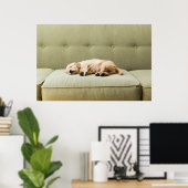 Kutest Baby Animals | Golden Retriever Puppy 2 Poster (Thuiskantoor)