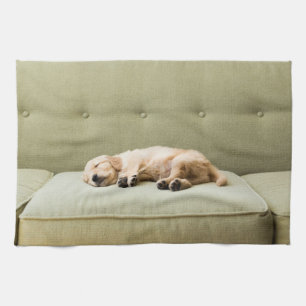 Kutest Baby Animals   Golden Retriever Puppy 2 Theedoek