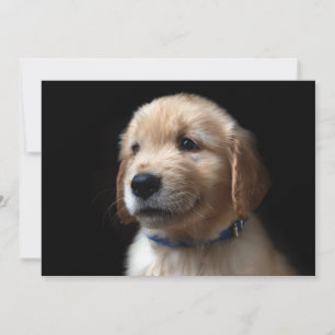Kutest Baby Animals Golden Retriever Puppy Bedankkaart