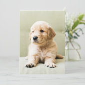 Kutest Baby Animals | Golden Retriever Puppy Bedankkaart (Staand voorkant)