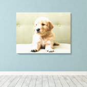 Kutest Baby Animals | Golden Retriever Puppy Canvas Afdruk (Insitu (Houten vloer))