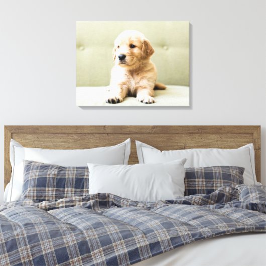 Kutest Baby Animals | Golden Retriever Puppy Canvas Afdruk (Insitu (Slaapkamer))