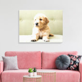 Kutest Baby Animals | Golden Retriever Puppy Canvas Afdruk (Insitu (Woonkamer))