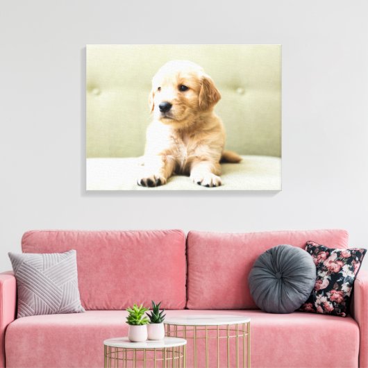 Kutest Baby Animals | Golden Retriever Puppy Canvas Afdruk (Insitu (Woonkamer))