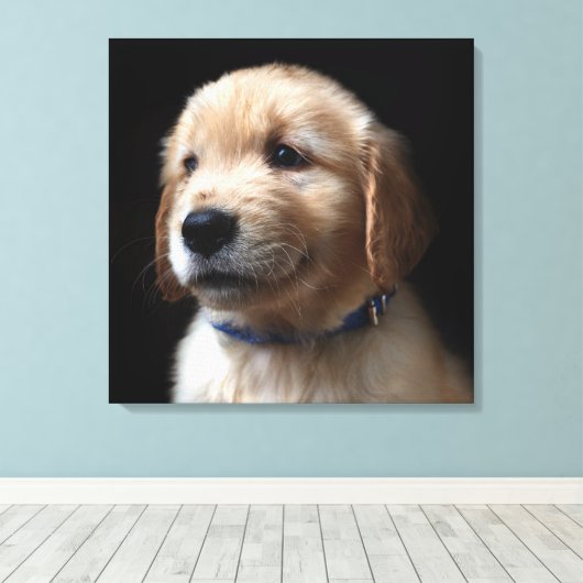 Kutest Baby Animals | Golden Retriever Puppy Canvas Afdruk (Insitu (Houten vloer))
