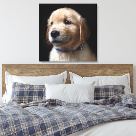 Kutest Baby Animals | Golden Retriever Puppy Canvas Afdruk (Insitu (Slaapkamer))