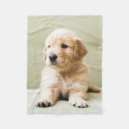 Kutest Baby Animals | Golden Retriever Puppy Fleece Deken (Voorkant)