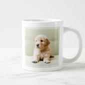 Kutest Baby Animals | Golden Retriever Puppy Grote Koffiekop (Rechts)