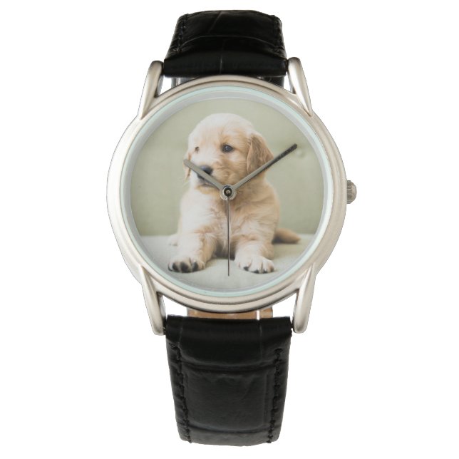 Kutest Baby Animals | Golden Retriever Puppy Horloge (Voorkant)