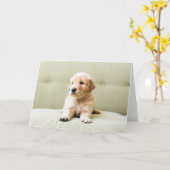 Kutest Baby Animals | Golden Retriever Puppy Kaart (Gele Bloem)