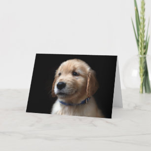 Kutest Baby Animals   Golden Retriever Puppy Kaart