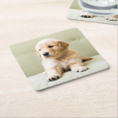 Kutest Baby Animals | Golden Retriever Puppy Kartonnen Onderzetters (Schuin)