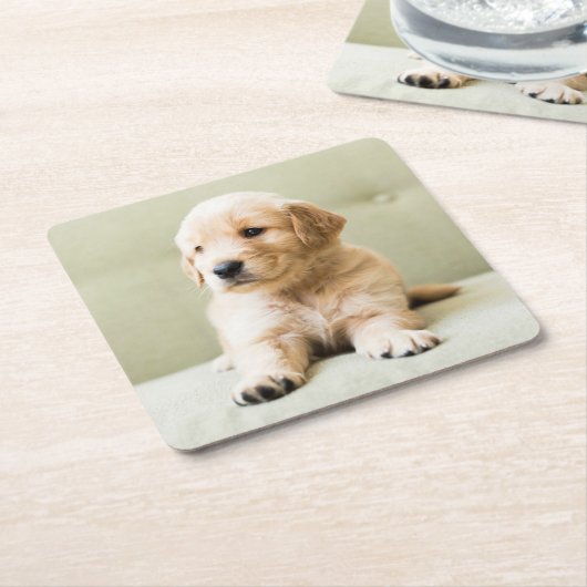 Kutest Baby Animals | Golden Retriever Puppy Kartonnen Onderzetters (Schuin)