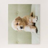 Kutest Baby Animals | Golden Retriever Puppy Legpuzzel (Verticaal)