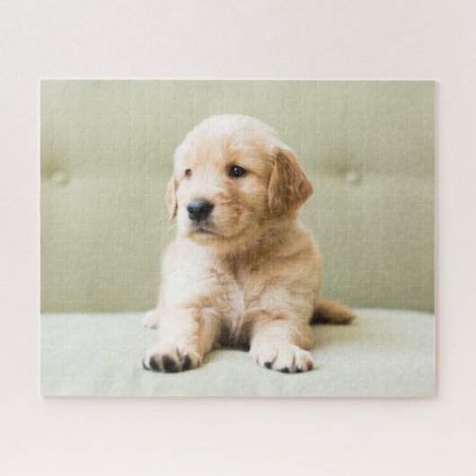 Kutest Baby Animals | Golden Retriever Puppy Legpuzzel (Horizontaal)