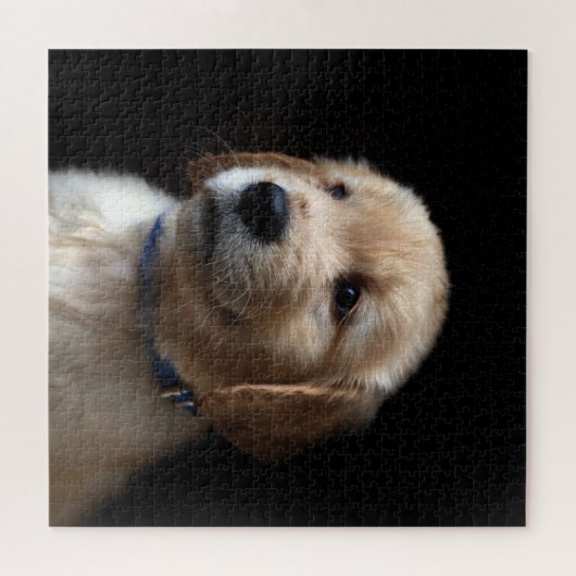 Kutest Baby Animals | Golden Retriever Puppy Legpuzzel (Horizontaal)