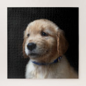 Kutest Baby Animals | Golden Retriever Puppy Legpuzzel (Verticaal)