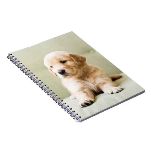 Kutest Baby Animals | Golden Retriever Puppy Notitieboek (Rechterzijde)