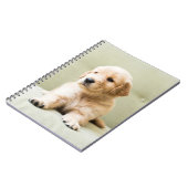 Kutest Baby Animals | Golden Retriever Puppy Notitieboek (Linkerzijde)