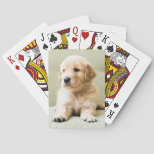 Kutest Baby Animals   Golden Retriever Puppy Pokerkaarten