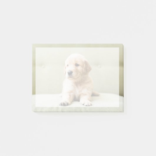 Kutest Baby Animals | Golden Retriever Puppy Post-it® Notes (Voorkant)