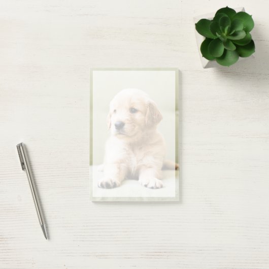 Kutest Baby Animals | Golden Retriever Puppy Post-it® Notes (Kantoor)