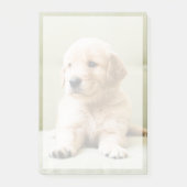 Kutest Baby Animals | Golden Retriever Puppy Post-it® Notes (Voorkant)