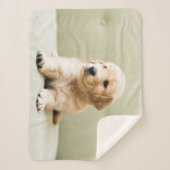 Kutest Baby Animals | Golden Retriever Puppy Sherpa Deken (Voorkant)