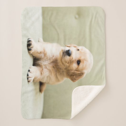 Kutest Baby Animals | Golden Retriever Puppy Sherpa Deken (Voorkant)