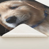 Kutest Baby Animals | Golden Retriever Puppy Sherpa Deken (3/4)