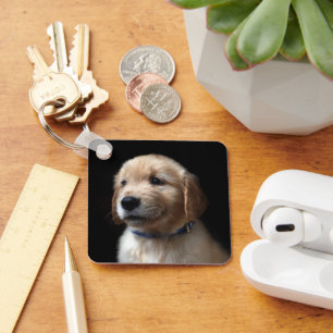 Kutest Baby Animals   Golden Retriever Puppy Sleutelhanger