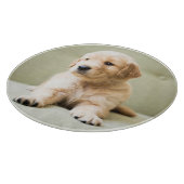 Kutest Baby Animals | Golden Retriever Puppy Snijplank (Hoek)