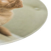 Kutest Baby Animals | Golden Retriever Puppy Snijplank (Hoek)