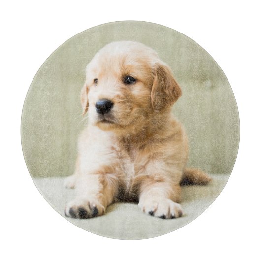 Kutest Baby Animals | Golden Retriever Puppy Snijplank (Voorkant)