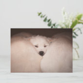 Kutest Baby Animals | Golden Retriever Snuggle Bedankkaart (Staand voorkant)