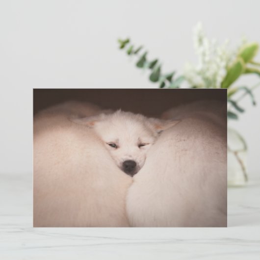 Kutest Baby Animals | Golden Retriever Snuggle Bedankkaart (Staand voorkant)