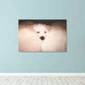 Kutest Baby Animals | Golden Retriever Snuggle Canvas Afdruk (Insitu (Houten vloer))