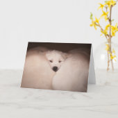 Kutest Baby Animals | Golden Retriever Snuggle Kaart (Gele Bloem)