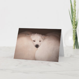 Kutest Baby Animals Golden Retriever Snuggle Kaart