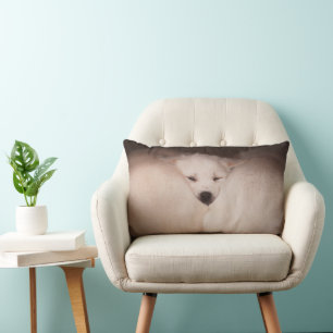 Kutest Baby Animals   Golden Retriever Snuggle Kussen